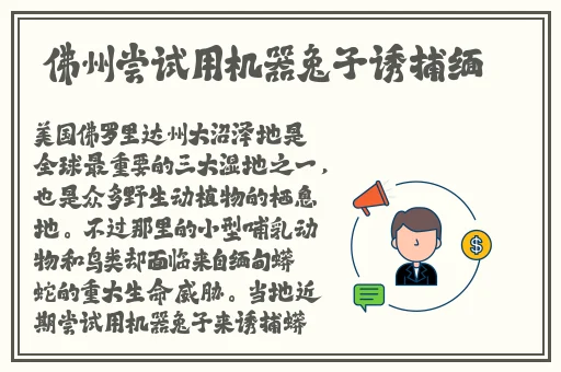 屁屁最新ccyycom发地布地
